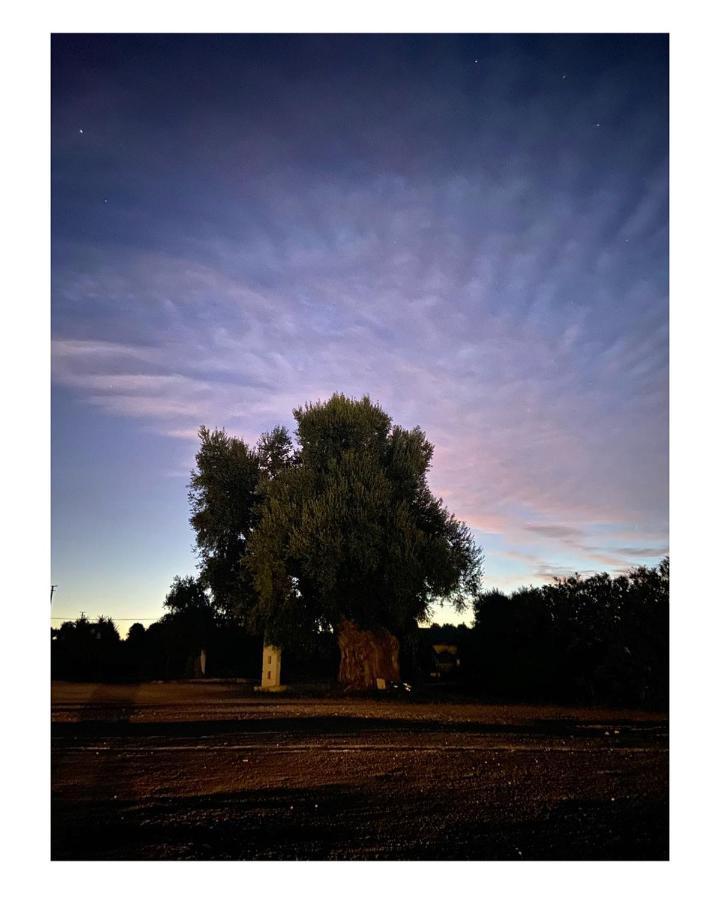 Masseria Conca D'Oro Ostuni Εξωτερικό φωτογραφία