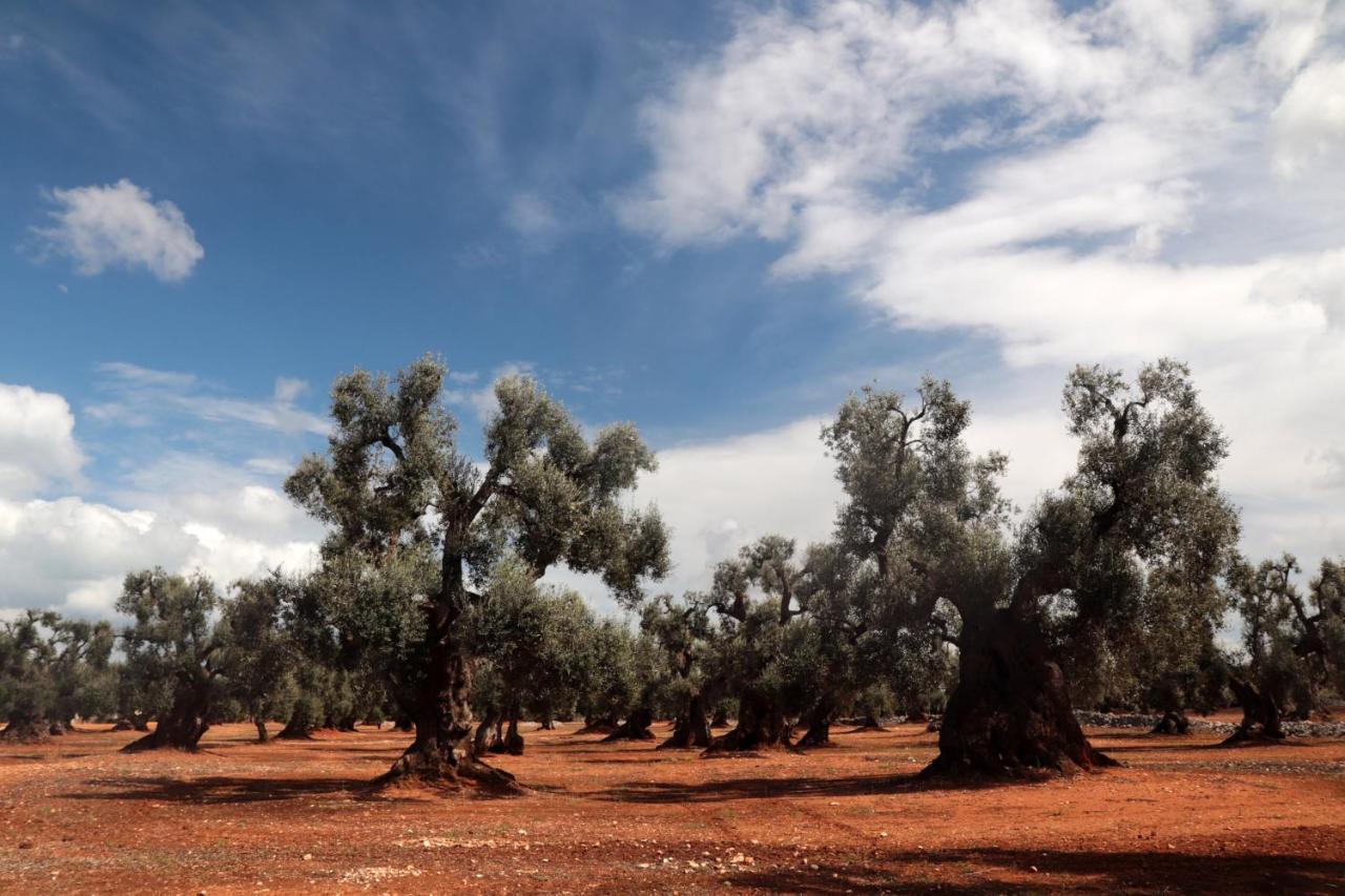 Masseria Conca D'Oro Ostuni Εξωτερικό φωτογραφία