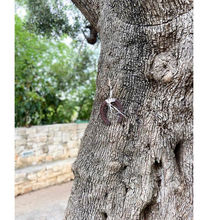 Masseria Conca D'Oro Ostuni Εξωτερικό φωτογραφία